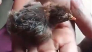 Vijayawada: బెజవాడ రైల్వే స్టేషన్‌లో పార్కింగ్‌ పేరుతో దోపిడీ