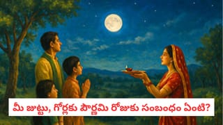 Masoor Dal: మసూర్ దాల్ వెనుక రాహువు, కేతువుల కథ! బ్రాహ్మణులు ఈ పప్పును ఎందుకు తినరు?