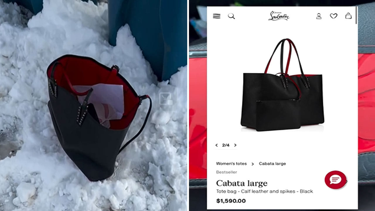 Viral Video: అదృష్టం అంటే ఇదేనేమో.. వెతకబోయిన తీగ కాలికి తగిలింది… చెత్త కోసం వెళ్లిన యువతికి ఏకంగా లక్షలు.. – Telugu News | Viral video woman garbage picking in rish neighborhood and found one lakh worth bag watch clip