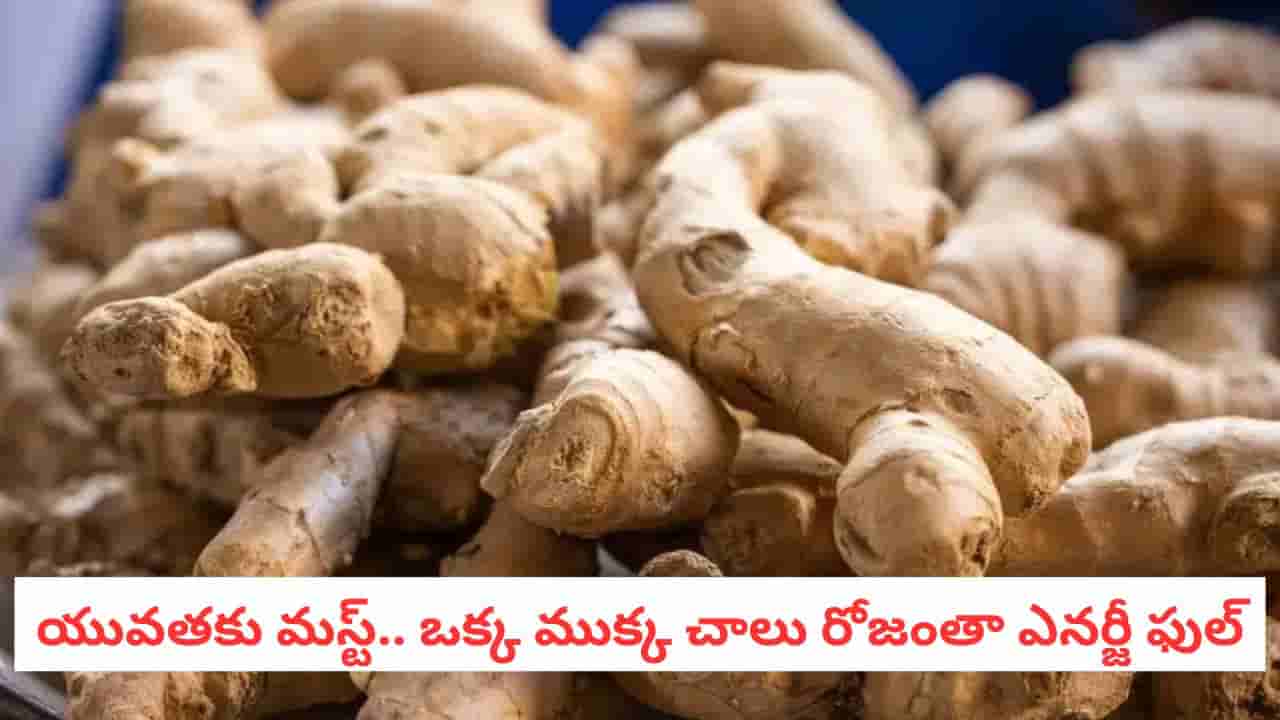 Ginger Benefits: ఒక్క ముక్కతో ఆ శక్తిని 100 రెట్లు పెంచగలదు! అల్లం రహస్యం ఇదే..