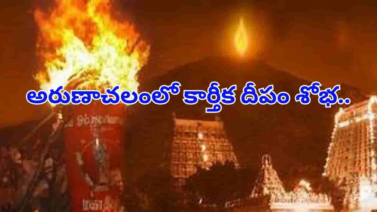 అరుణాచలంలో కార్తీక దీపం శోభ.. గిరి ప్రదక్షిణకు పోటెత్తిన భక్తజనం.. ఈ రోజు విశిష్టత తెలిస్తే..