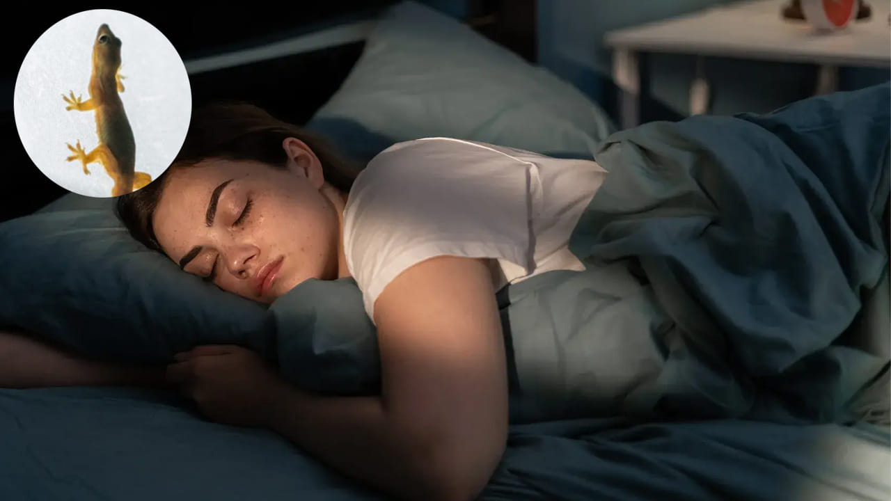 కీటకాలను చంపే బల్లి గురించి కలలు కనడం: ఒక వ్యక్తి కలలో బల్లి కీటకాలను పట్టుకుని తింటున్నట్లు చూస్తే, అతనికి ఆర్థిక సమస్యలు వచ్చే అవకాశం ఉంది. దీని వల్ల ఆర్థిక సంక్షోభాలు వస్తాయి . ఎలాంటి కల వచ్చినా, మీ డబ్బును సరిగ్గా ఉపయోగించడం, మీ ఖర్చులను వీలైనంత వరకు నియంత్రించుకోవడం ముఖ్యం.