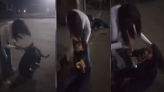 Viral Video: రన్నింగ్‌ ట్రైన్‌లోకి దూరిన చిరుత… ఆ తర్వాత జరిగింది చూస్తే షాక్‌.. వీడియోపై అటవీశాఖ క్లారిటీ!