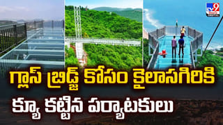 రోడ్డుపైన అప్పుడే పుట్టిన పసికందు..రాత్రంతా కాపాడిన వీధి శునకాలు