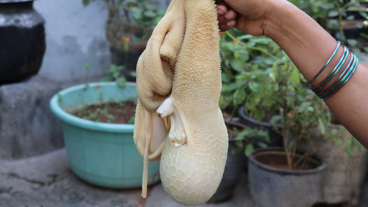 గొర్రెను కొనేటప్పుడు పరిగణించవలసిన విషయాలు: మీరు మాంసం దుకాణానికి వెళ్లి పేగులు అడిగినప్పుడు, వారు మీకు ఒక పెద్ద బ్యాగ్ ఇస్తారు. దానికి మూడు పేగులు ఉంటాయి. ఒక పేగు పైన బ్యాగ్ లాగా చుట్టబడి ఉంటుంది. దాని లోపల రెండు పేగులు, చిన్న పేగు,పెద్ద పేగు ఉంటాయి. కొన్ని దుకాణాళ్లు మూడింటినీ విడిగా అమ్ముతారు. కానీ మీరు మూడింటినీ కలిపి కొనాలి. అప్పుడే అది రుచికరంగా ఉంటుంది. మరికొందరు పేగులతో పాటు ఊపిరితిత్తుల ముక్కను అడుగుతారు.