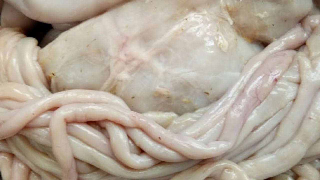 మూడు రకాల ప్రేగులలో, చిన్న ప్రేగు అనేది చిన్న గొట్టం లాగా పొడవుగా ఉంటుంది. దానిలో చాలా చిన్న రంధ్రం ఉంటుంది. అదే చిన్న ప్రేగు. మీకు ఒక చిన్న కర్ర లేదా చాప్ స్టిక్ ఉంటే, మీరు దానిని పూర్తిగా చిన్న ప్రేగు లోపల ఉంచి, దిగువ భాగాన్ని పైకి లాగాలి. మీరు ఇలా చేసి శుభ్రం చేసినప్పుడు, లోపలి భాగం పైకి వస్తుంది. లోపల ఉన్న వ్యర్థాలు పూర్తిగా శుభ్రం అవుతాయి.