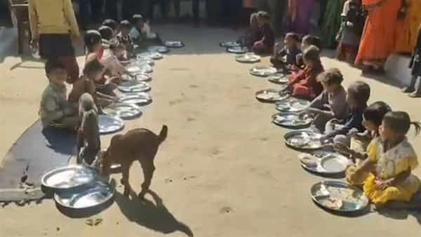 Viral Video: ఇంత అధ్వాన్నమా... మీ పిల్లలైతే ఇలాగే చూస్తరా?... పిల్లల భోజనం మేకలపాలు చేస్తరా?