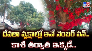 చనిపోయిన తరువాత కూడా.. తండ్రి కల నెరవేర్చిన కొడుకు.. కంట తడి పెట్టిస్తున్న స్టోరీ