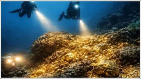 సముద్రం అడుగున 3900 టన్నులకుపైగా బంగారం నిల్వలు..