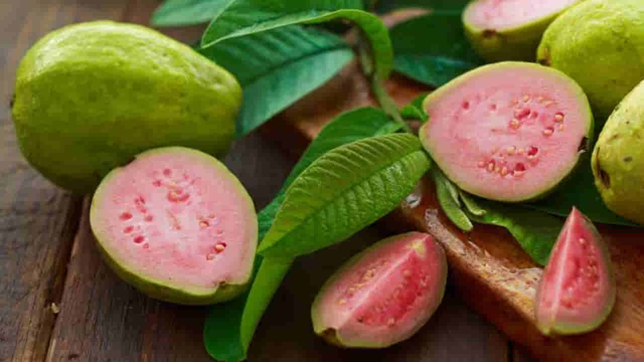 రోజూ ఒక జామకాయ తింటే ఏమౌతుందో తెలుసా..? శరీరంలో వచ్చే మార్పులు ఇవే..