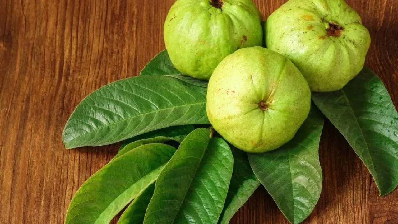 పిల్లల నుండి పెద్దల వరకు దాదాపు అందరూ జామ పండ్లు తినడానికి ఇష్టపడతారు. జామ ఎంత రుచికరంగా ఉంటుందో ఆరోగ్యానికి కూడా అంతే మేలు చేస్తుంది. జామ తినడం వల్ల అనేక ఆరోగ్య సమస్యలు తొలగిపోతాయి.