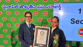 పైనాపిల్‌ తొక్కతీసి ప్రపంచ రికార్డ్‌.. అసలు సంగతి తెలిస్తే...