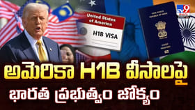 H1B వీసాలపై భారత ప్రభుత్వం జోక్యం
