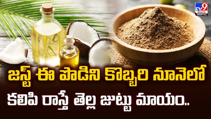 జస్ట్ ఈ పొడిని కొబ్బరి నూనెలో కలిపి రాస్తే తెల్ల జుట్టు మాయం జస్ట్ ఈ పొడిని కొబ్బరి నూనెలో కలిపి రాస్తే తెల్ల జుట్టు మాయం