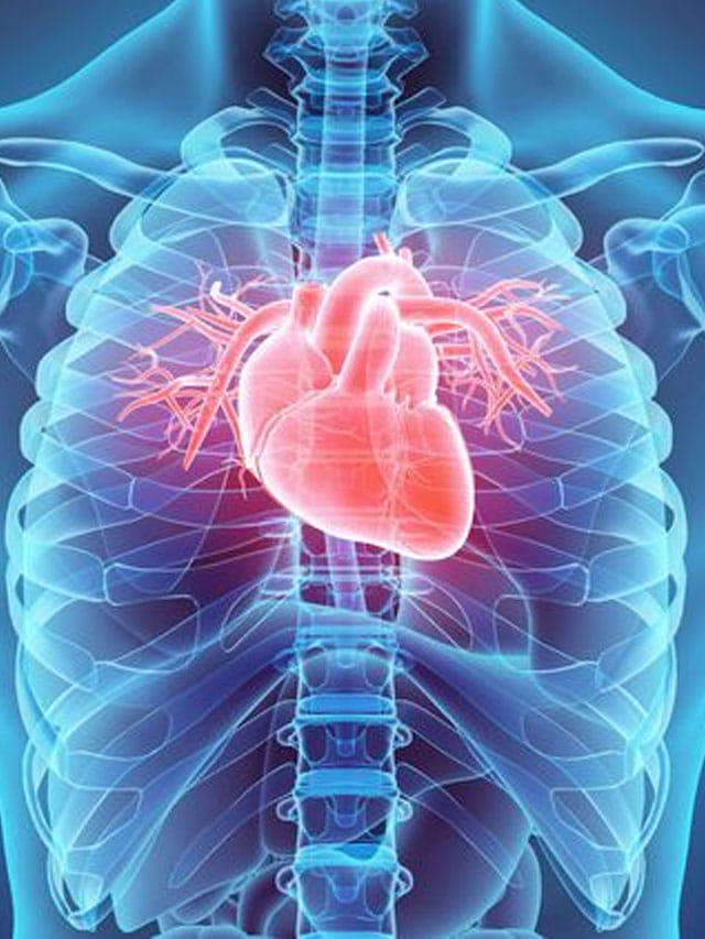 ఈ ఫుడ్స్ తింటే.. మీ హార్ట్ సేఫ్.. డైట్లో యాడ్ చెయ్యండి..