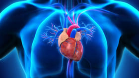 ఈ ఆహారాలను దూరం పెట్టారంటే.. మీ గుండె వందేళ్లు పదిలం..