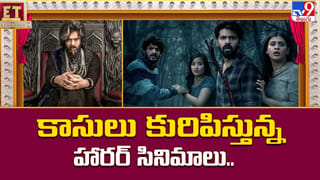 మల్టీప్లెక్స్ బిజినెస్.. మూడు పువ్వులు ఆరు కాయలు