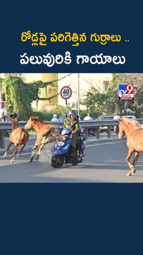 Horse Incident: నడిరోడ్లపై పరిగెత్తిన గుర్రాలు .. పలువురికి గాయాలు