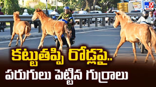 కట్టుతప్పి వీధుల్లో పరుగులు పెట్టిన గుర్రాలు.. హడలెత్తిన జనం ఏ చేశారంటే