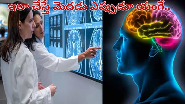 వారెవ్వా.. మెదడు వయస్సును తగ్గించుకోవచ్చు.. ఎలాగో తెలుసా..?