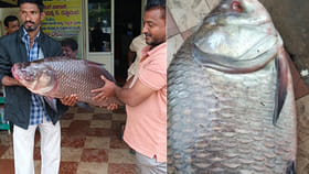 ఎగిరి గంతేసిన జాలర్లు..