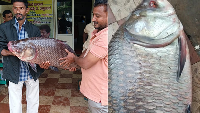 ఎగిరి గంతేసిన జాలర్లు..