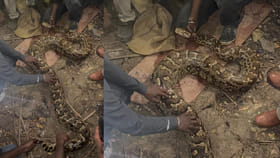 ఇదేందిరా సామి ఇంతుంది..?