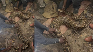 Marriage Certificate: మూడు రోజుల్లోనే మ్యారేజ్ రిజిస్ట్రేషన్ సర్టిఫికేట్.. ఎలా అప్లై చేసుకోవాలంటే..?