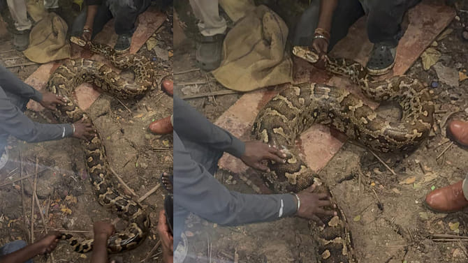 ఇదేందిరా సామి ఇంతుంది..?