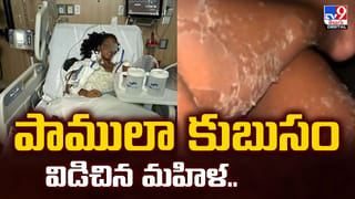 వాటి కోసం ఎలుగుబంటిగా మారిన సర్పంచ్.. చివరికి ఏమైందంటే