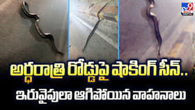 అర్ధరాత్రి రోడ్డుపై షాకింగ్‌ సీన్‌.. ఇరువైపులా ఆగిపోయిన వాహనాలు
