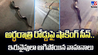 Rain Alert: తెలుగు రాష్ట్రాల్లో శుక్రవారం వాతావరణం ఎలా ఉంటుంది..? ఇదిగో వెదర్ రిపోర్ట్..