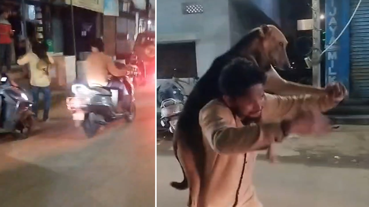 Hyderabad: ఎవడు మమ్మీ వీడు.! చిమ్‌టూగాడితో మందుబాబు చిందులు.. షేక్.. షేక్ ఆడించాడుగా