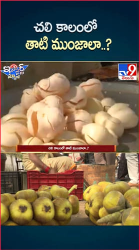 ఇదేమి విచిత్రం.. చలి కాలంలో తాటి ముంజాలా..?