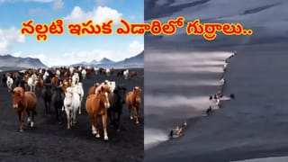 ప్రపంచంలోనే ఎత్తైన జలపాతం.. ఆకాశం నుండి చూస్తే ఎలా ఉంటుందో తెలుసా..? వీడియో వైరల్‌