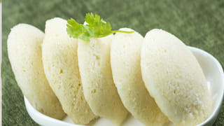 ఈ 6 మొక్కలు పాములకు ఫేవరేట్.. ఇంట్లో ఉంటే.. పక్కా వస్తాయి..