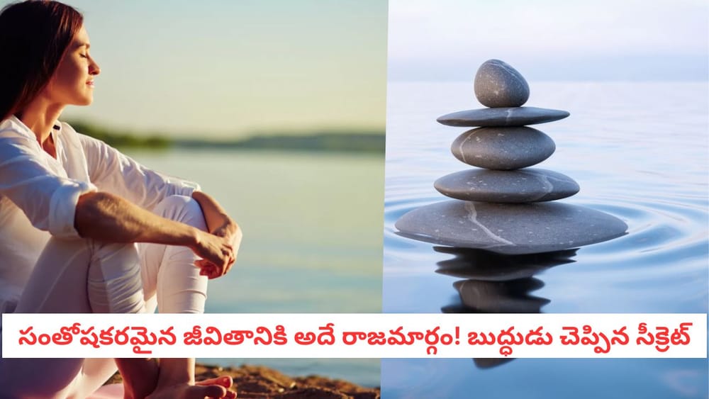 Happy Life Tips: కోట్లు పెట్టినా కొనలేరు.. మీ జీవితాన్ని  సంతోషంగా మార్చే మంత్రం ఇదే!