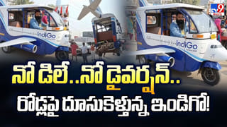 ఏంది సామీ నీ ధైర్యం.. సింహాలక్కడ.. వైరల్ అవ్వడం కోసం మరీ ఇలా చేస్తావా ??