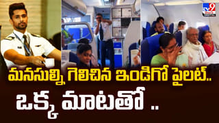 తల్లి పక్కన నిద్రిస్తున్న శిశువు.. లాక్కెళ్లిన తోడేలు