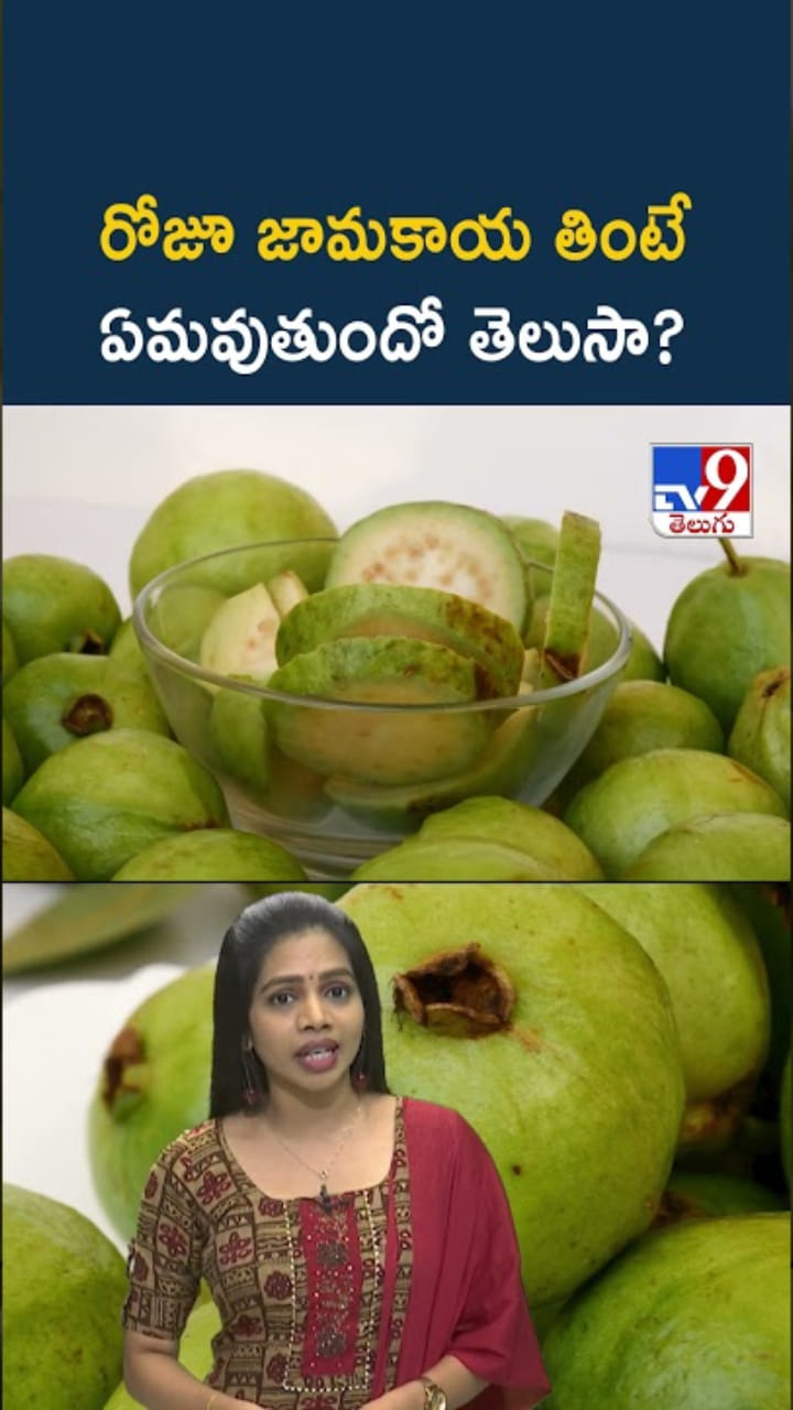 Guava Fruit: రోజూ జామకాయ తింటే ఏమవుతుందో తెలుసా?