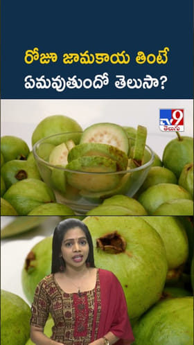 Guava Fruit: రోజూ జామకాయ తింటే ఏమవుతుందో తెలుసా?