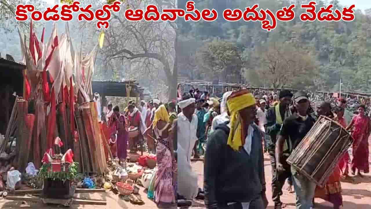 Telangana: దీపమే దైవం.. ప్రకృతి ఒడిలో ఆదివాసీల అద్భుత జాతర.. నాలుగు రాష్ట్రాల నుంచి..