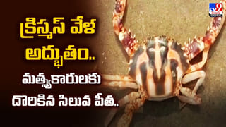 మంటలతో పెట్రోలు బంకులోకి దూసుకెళ్లిన వ్యాను