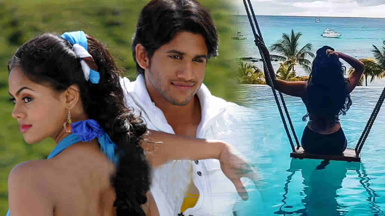 అమ్మబాబోయ్..! నాగ చైతన్య హీరోయిన్ ఎంత మారిపోయింది.. సినిమాలు మానేసి ఇప్పుడు ఇలా..