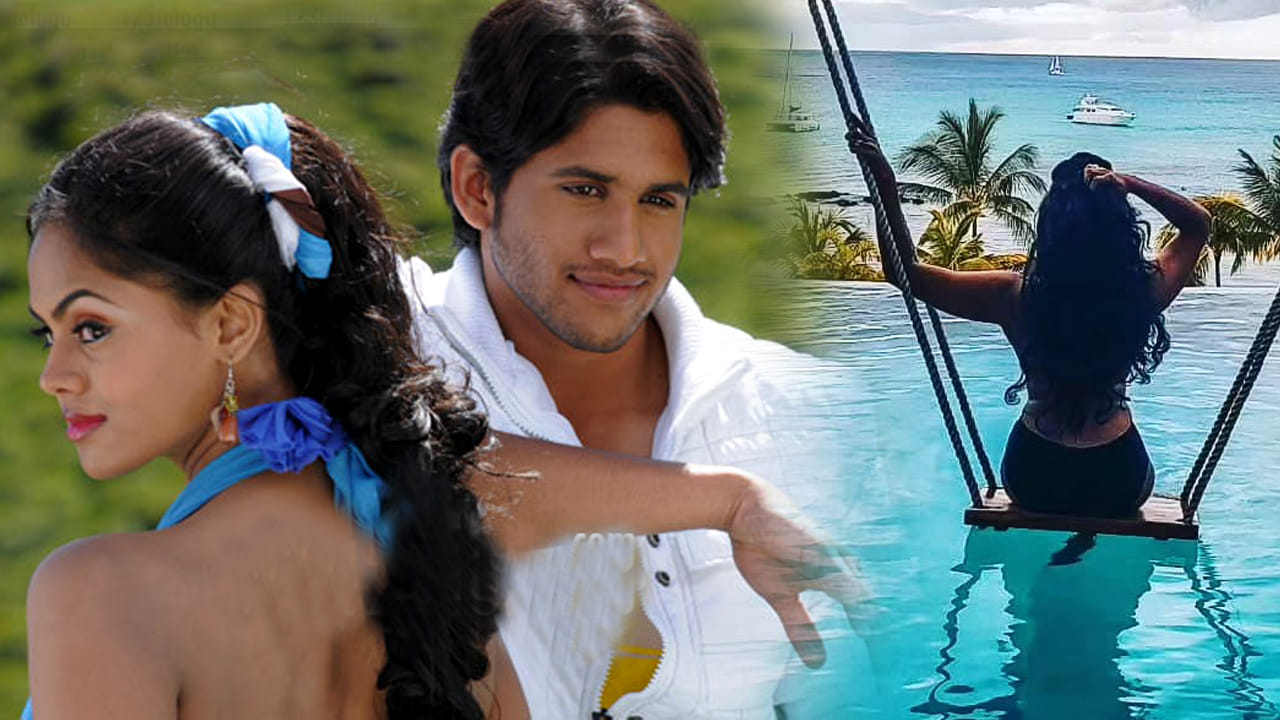 అమ్మబాబోయ్..! నాగ చైతన్య హీరోయిన్ ఎంత మారిపోయింది.. సినిమాలు మానేసి ఇప్పుడు ఇలా..