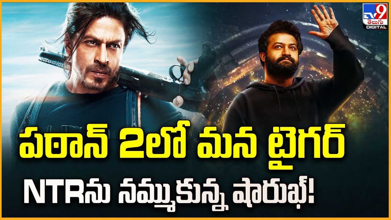 పఠాన్‌ 2లో మన టైగర్‌.. NTRను నమ్ముకున్న షారుఖ్