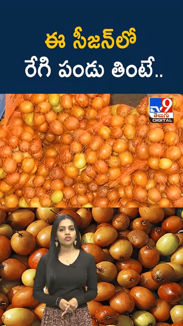 Jujube Fruit: చలికాలంలో రేగి పండ్లు తింటే ఏం జరుగుతుందో తెలుసా..?
