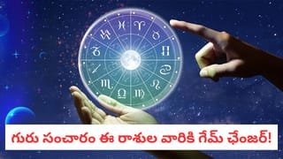 Zodiac Signs: మీ రాశికి పర్ఫెక్ట్ కెరీర్ ఇదే.. 2026లో కోటీశ్వరయోగం పట్టనున్న రాశులివే!