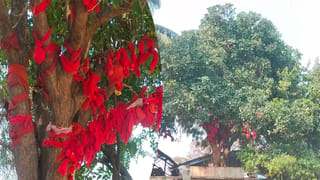 Spiritual Tips: ఇంట్లో పూజ చేసినా అదృష్టం కలిసి రావడం లేదా? మీరు చేస్తున్న పొరపాట్లు ఇవే!