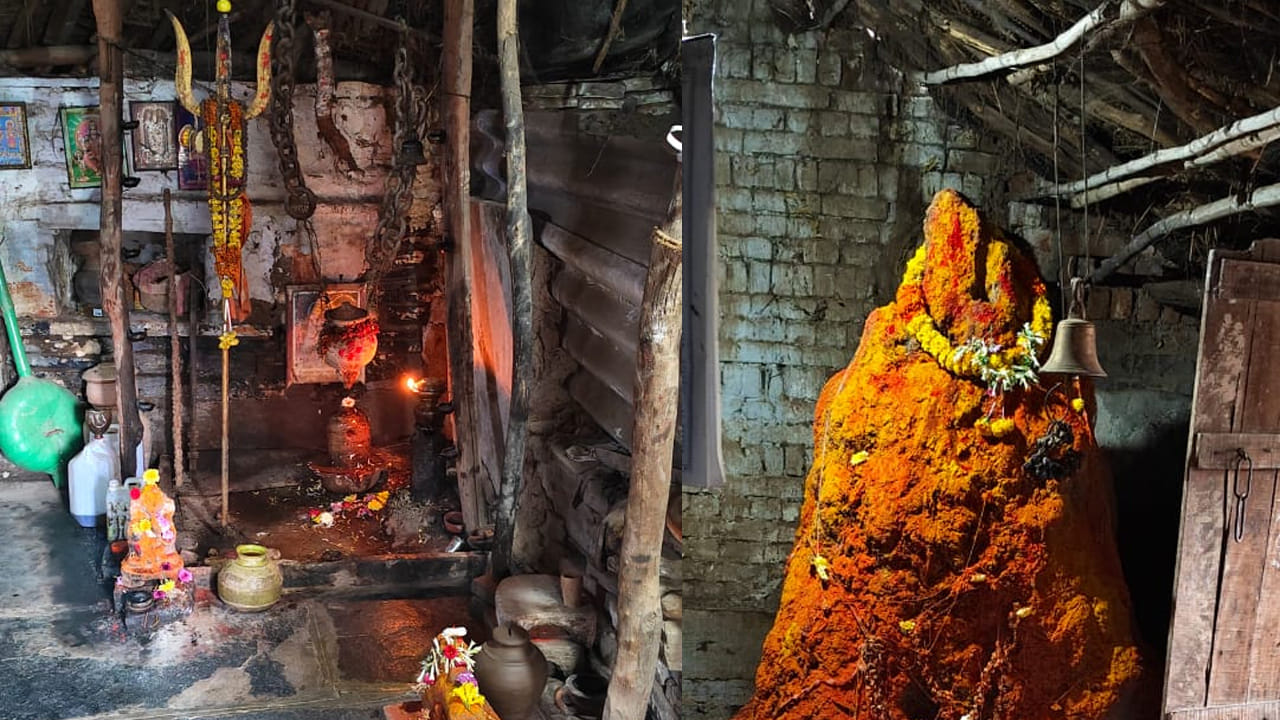 కడప జిల్లా పొద్దుటూరు నియోజకవర్గం లోని కుమ్మరి కొట్టాల ప్రాంతంలో కంభం వెంకయ్య అనే వ్యక్తి మట్టి కుండలు చేస్తూ జీవనం సాగిస్తూ ఉంటాడు . అయితే అతడు కుండలు తయారు చేసి నివాసం ఉండే ఇంటిలో 1981 వ సంవత్సరంలో చిన్నగా పుట్ట ఏర్పడిందని ఆ తరువాత నుంచి దానంతట అదే పెరుగుతూ ప్రస్తుతం పది అడుగుల ఎత్తు వరకు పెరిగిందని వెంకయ్య తెలిపారు.